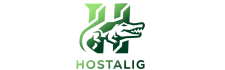 Hostalig Logo